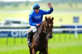 Video herunterladen: （WE ARE SO BACK!）2024.7.31 古活R4 Sussex Stakes/萨塞克斯锦标（G1）——Notable Speech/名演说