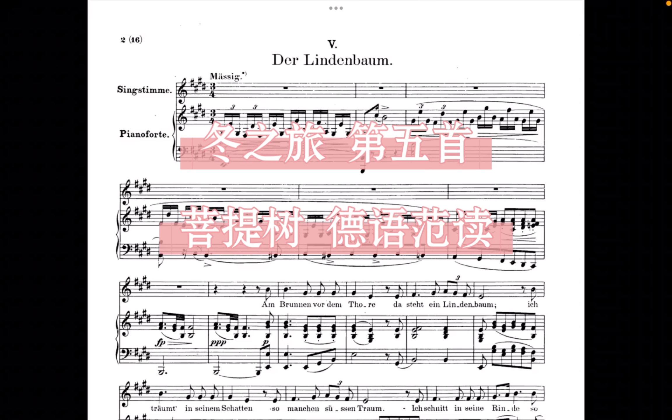 [图]舒伯特 冬之旅 第五首 菩提树 德语范读 Schubert Winterreise No.5 Der Lindenbaum