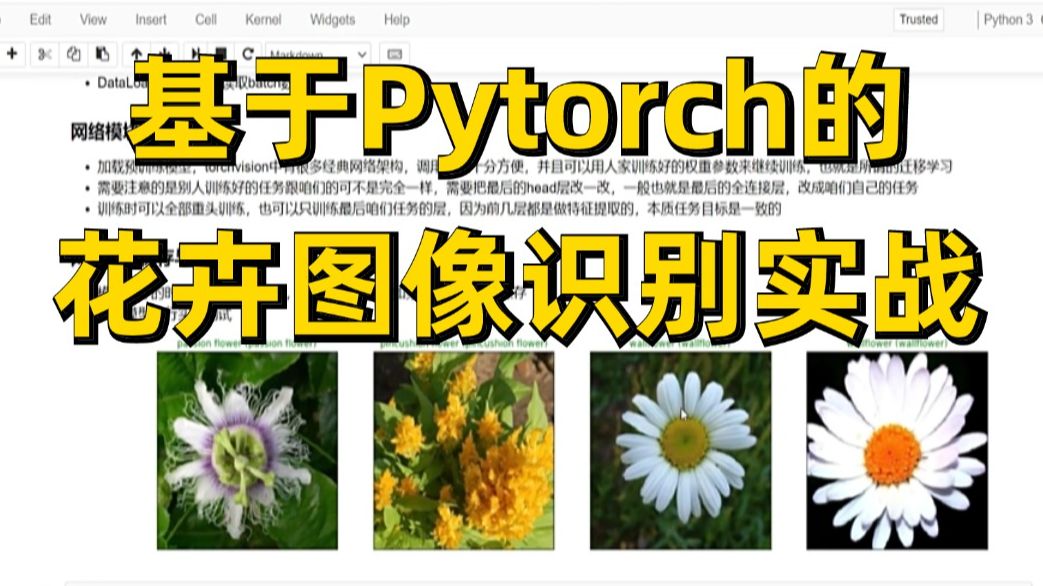 草履虫都能学会的花卉图像识别!研一、研二必学!基于Pytorch框架的花卉图像识别模型实战,原理详解+项目实战,看完就能跑通!人工智能/计算机视觉/...