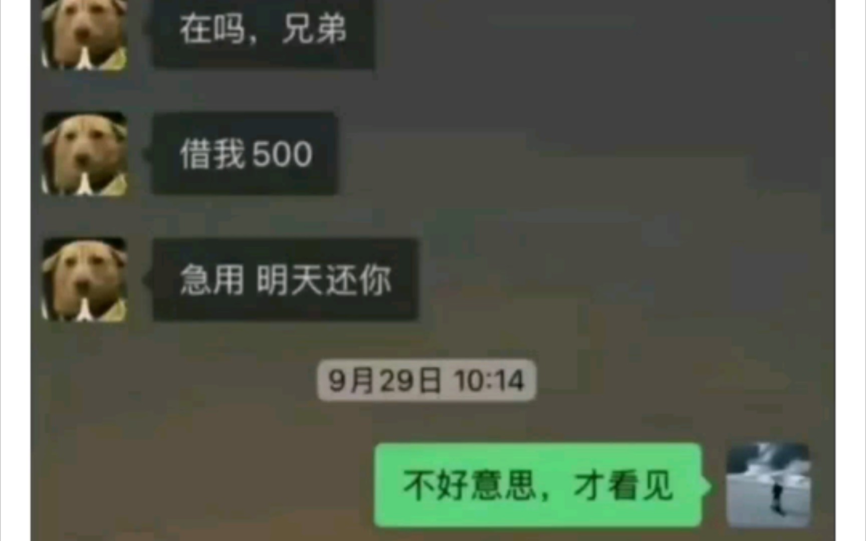 当别人向你借钱的时候可以这样回复他(确信)哔哩哔哩bilibili