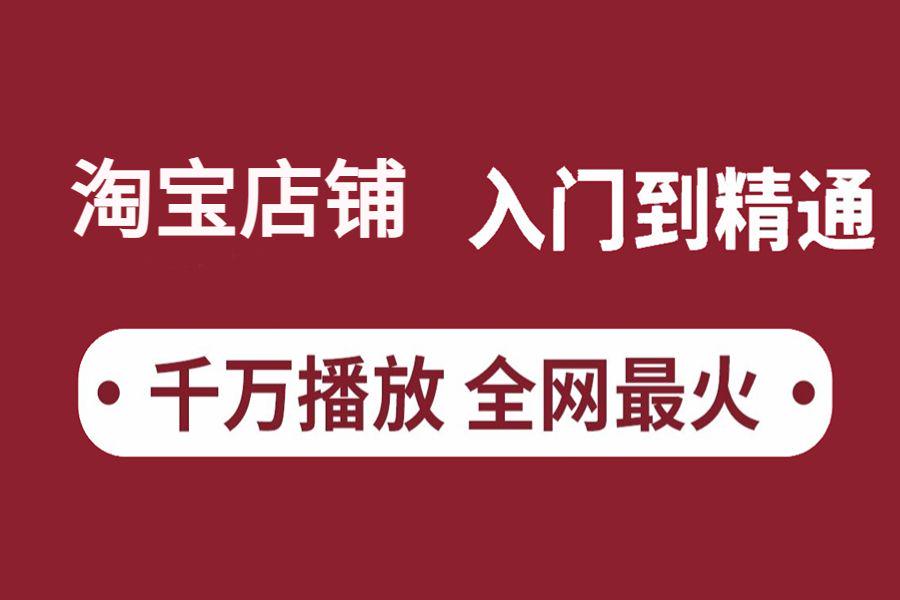 比刷剧还爽!!2024(全新)淘宝运营电商网课,淘宝运营大佬专为为学渣研制的淘宝开店零基础保姆级教程,全程通俗易懂,纯干货无废话哔哩哔哩bilibili