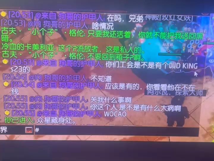 永久区 好像是国服前三护甲人(后来才知道的)无比猖狂,黑社会啊?哔哩哔哩bilibili第一视角