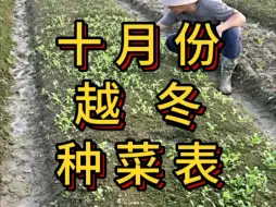 十月份能种哪些菜，越冬的菜什么时候育苗