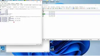 沈药Python实验七3-4题