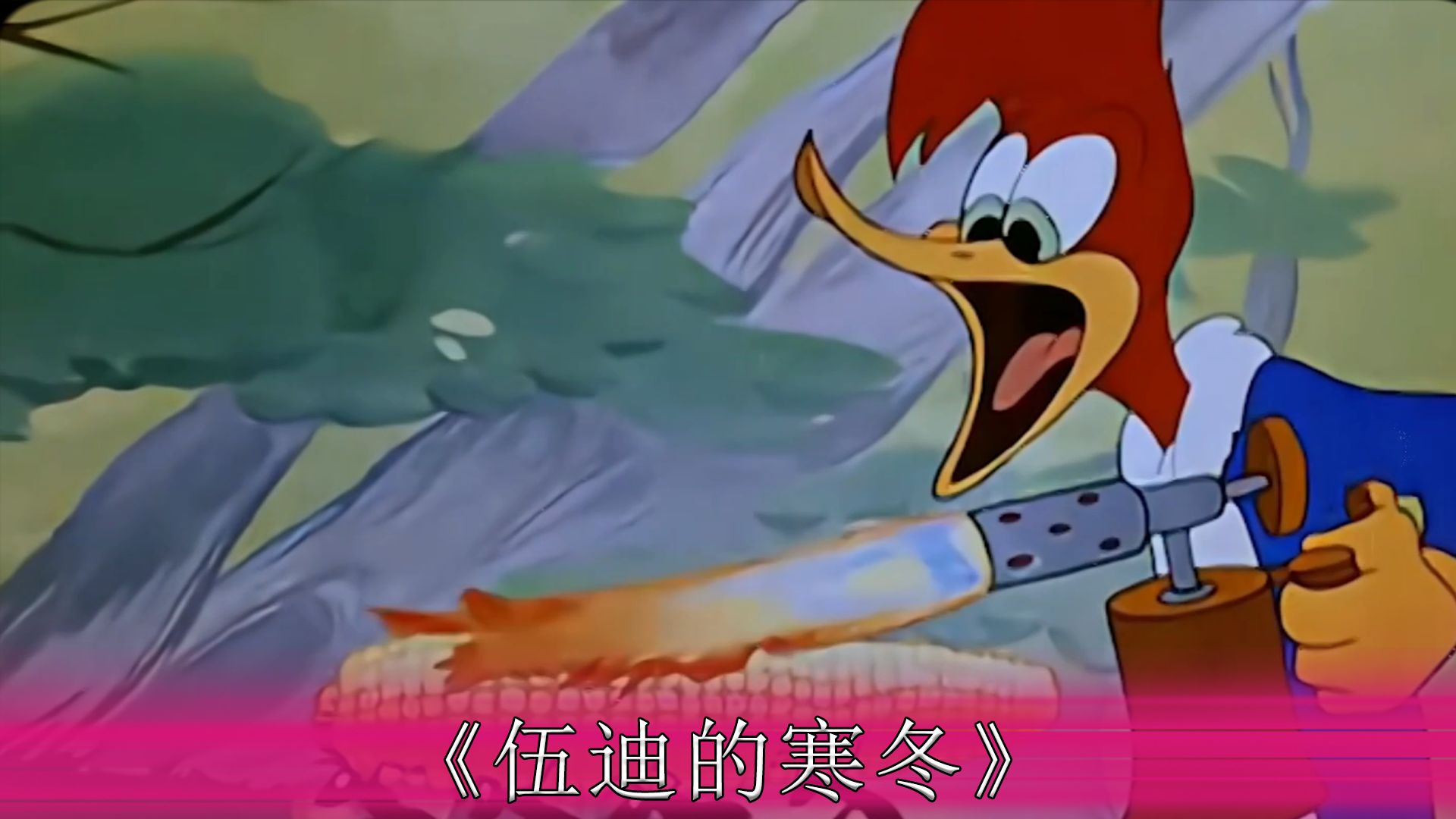 寒冬来临,所有动物们都在储存粮食,唯独啄木鸟伍迪啥