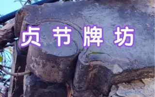 贞节牌坊 哔哩哔哩 Bilibili