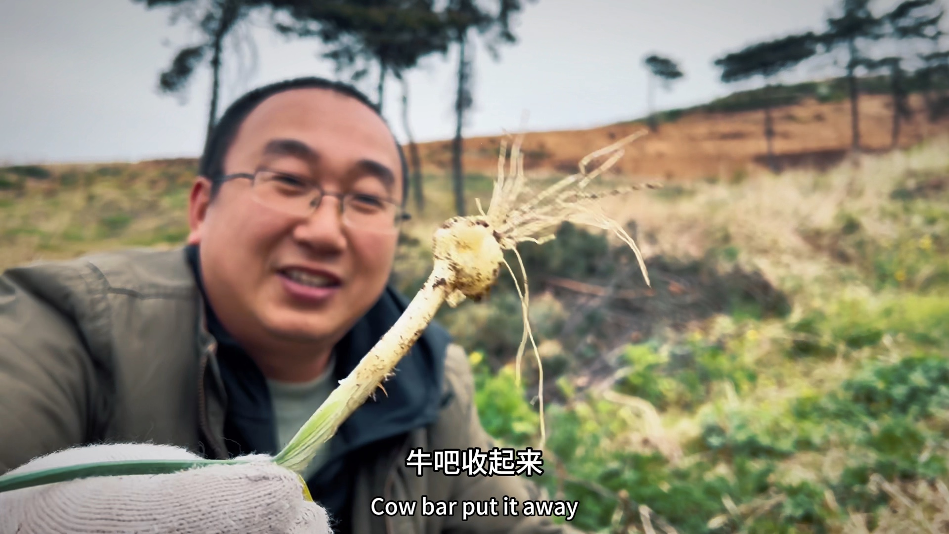 沈阳大山里挖野菜,这个大脑瓜最常见,驴哥边挖边乐,真心解压啊 #来自大山里的味道[话题]# #挖野菜[话题]# #记录大山里的农村生活[话题]# #大自然的馈...