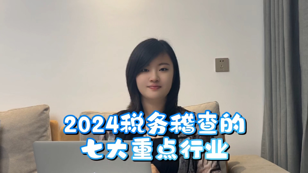 2024税务稽查的7大重点行业哔哩哔哩bilibili