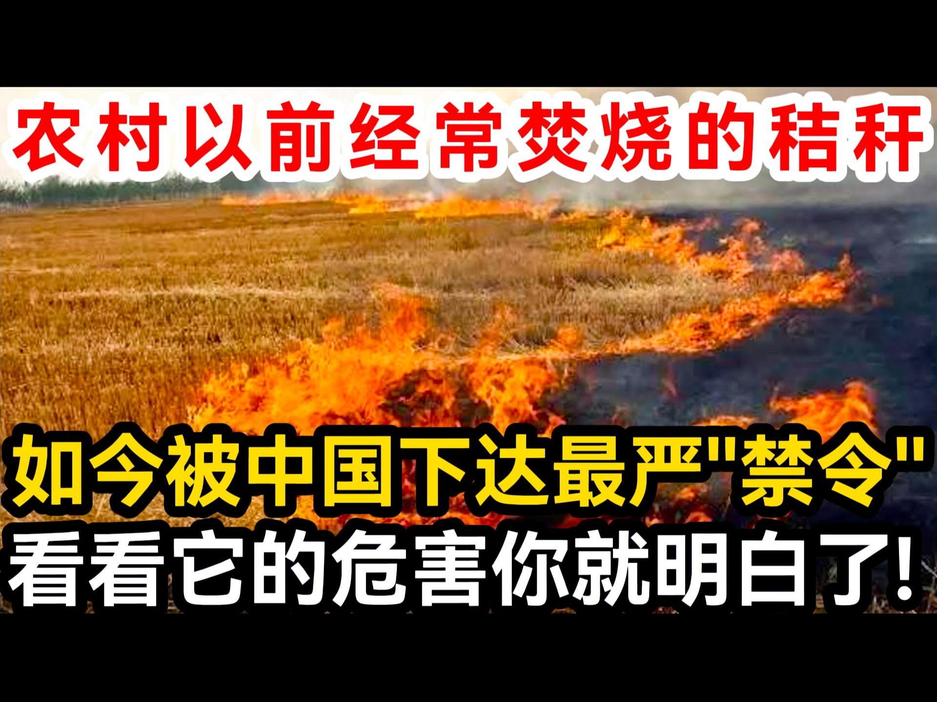 农村以前经常焚烧的秸秆,如今被中国下达最严"禁令",看看它的危害你就