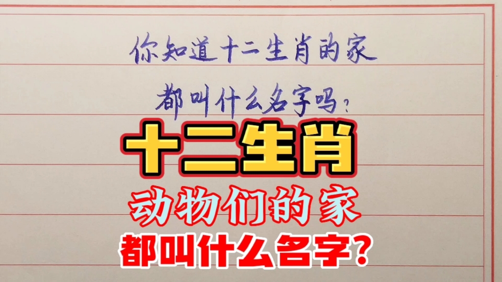 你知道十二生肖中动物的家都叫什么名字吗?马的家我第一次听说哔哩哔哩bilibili