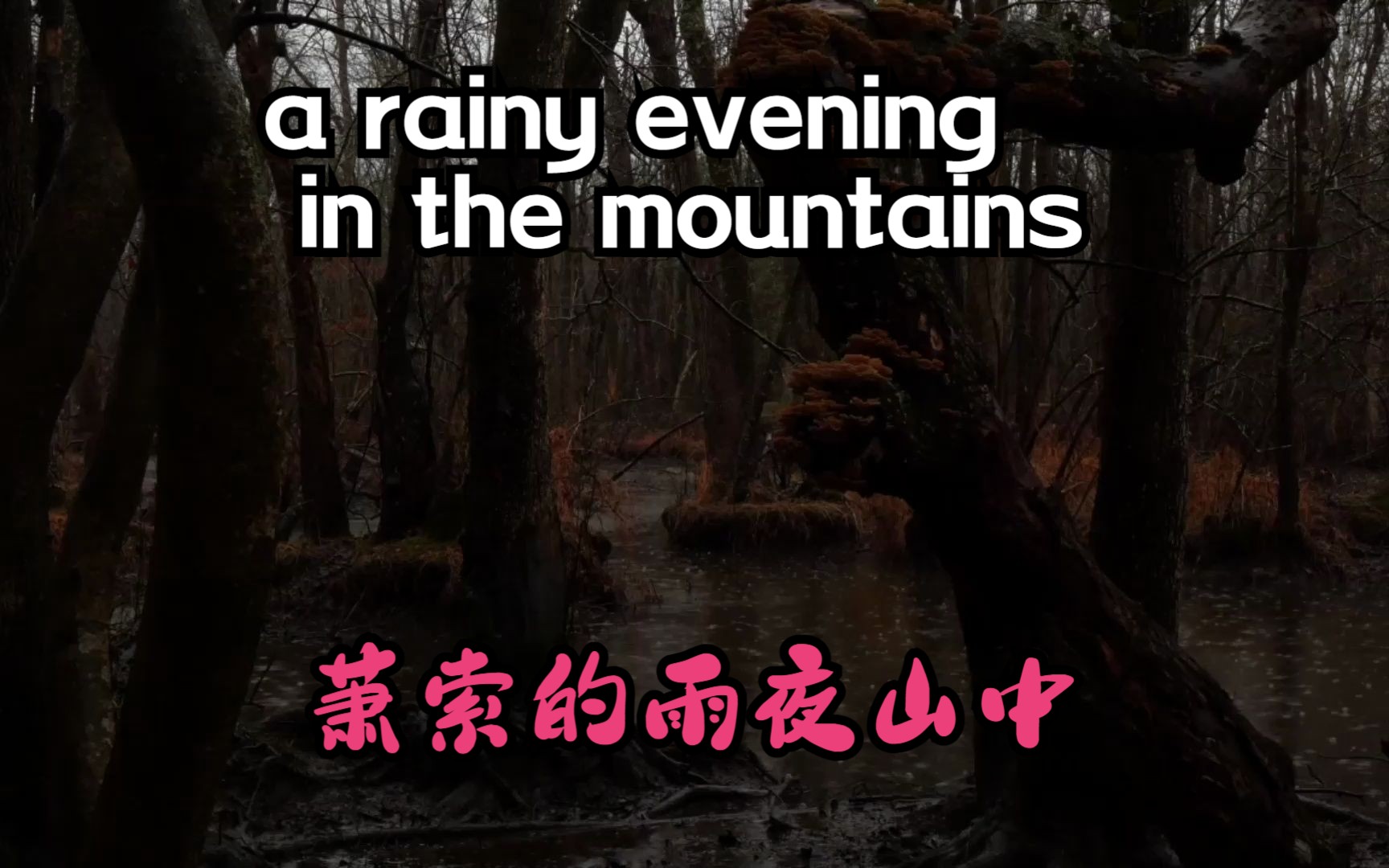 [图]萧索的雨夜山中,雨声，寂静的森林，睡眠，休息, The sound of rain, the quiet forest, the sleep