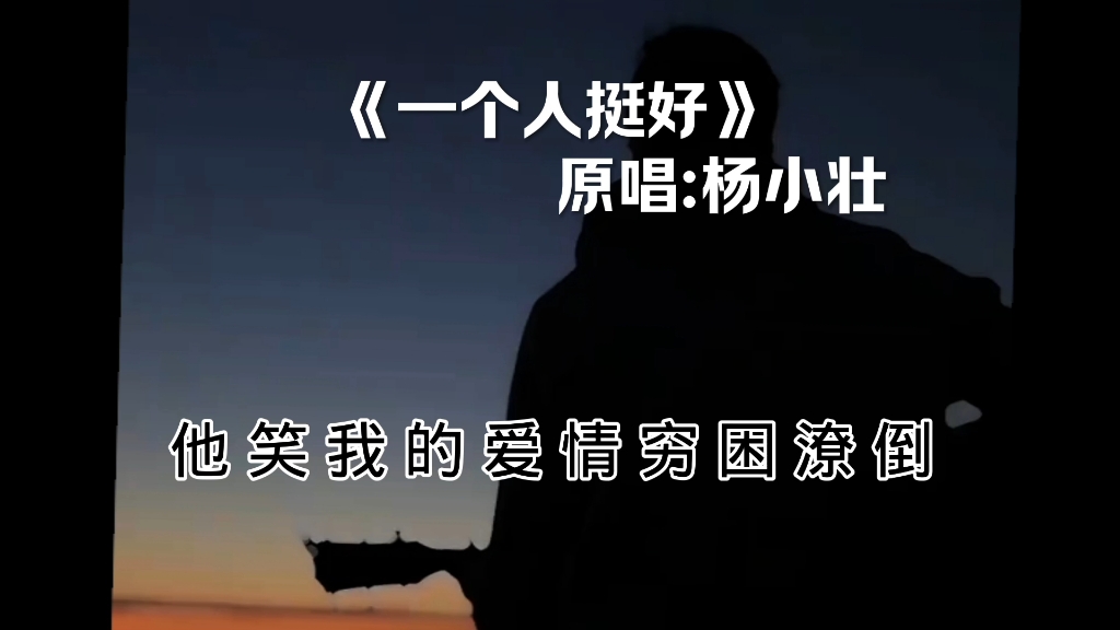《一个人挺好》杨小壮