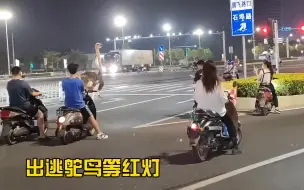 Télécharger la video: 广西南宁动物园鸵鸟出逃，还会等红灯？网友：这神兽是因为被冷落，离家出走的吧