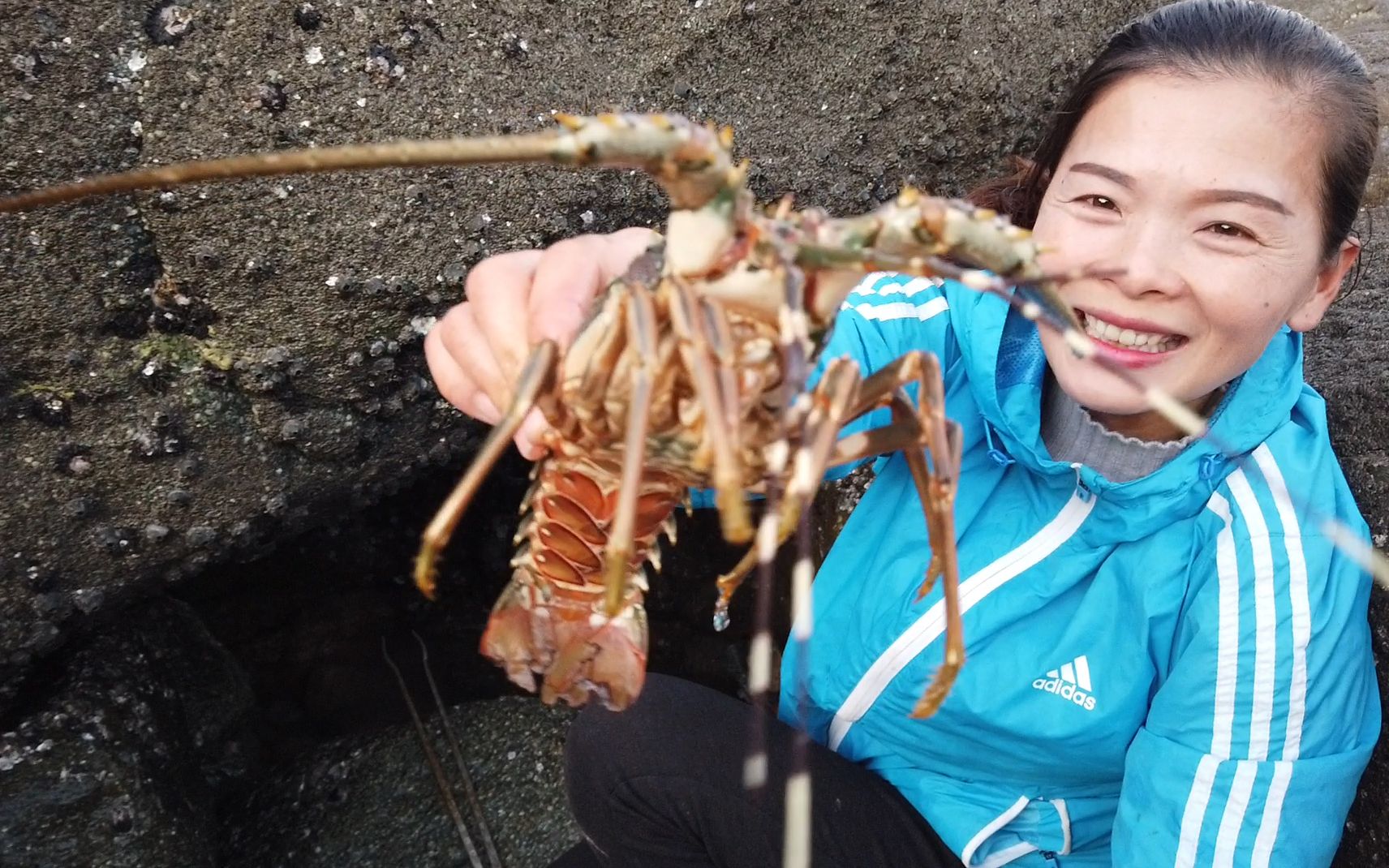 渔家妹赶海发现漆黑坑洞,钻进一看竟有值钱大货,一只就值几百块_哔哩