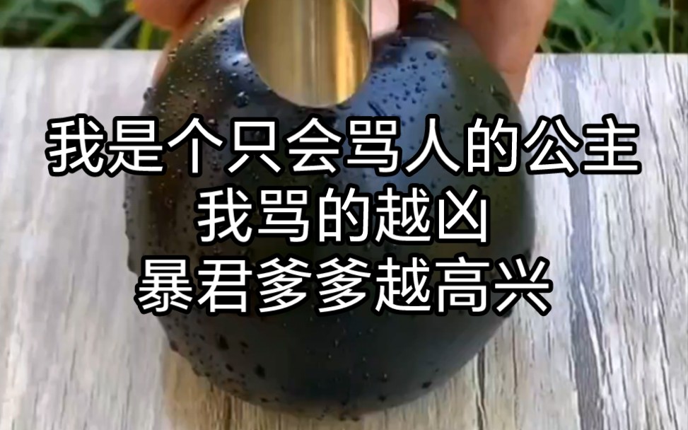 我是一個只會罵人的公主,我罵的越兇,暴君爹爹越高興