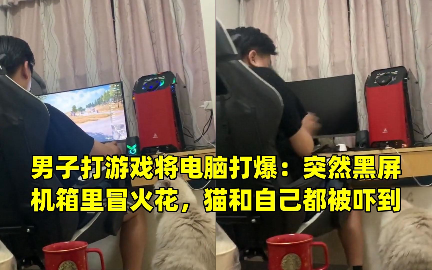 男子打游戏将电脑打爆:突然黑屏机箱里冒火花,猫和自己都被吓到