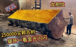 下载视频: 花250000买颗千年古树，锯开一看金光闪闪，该用来做什么