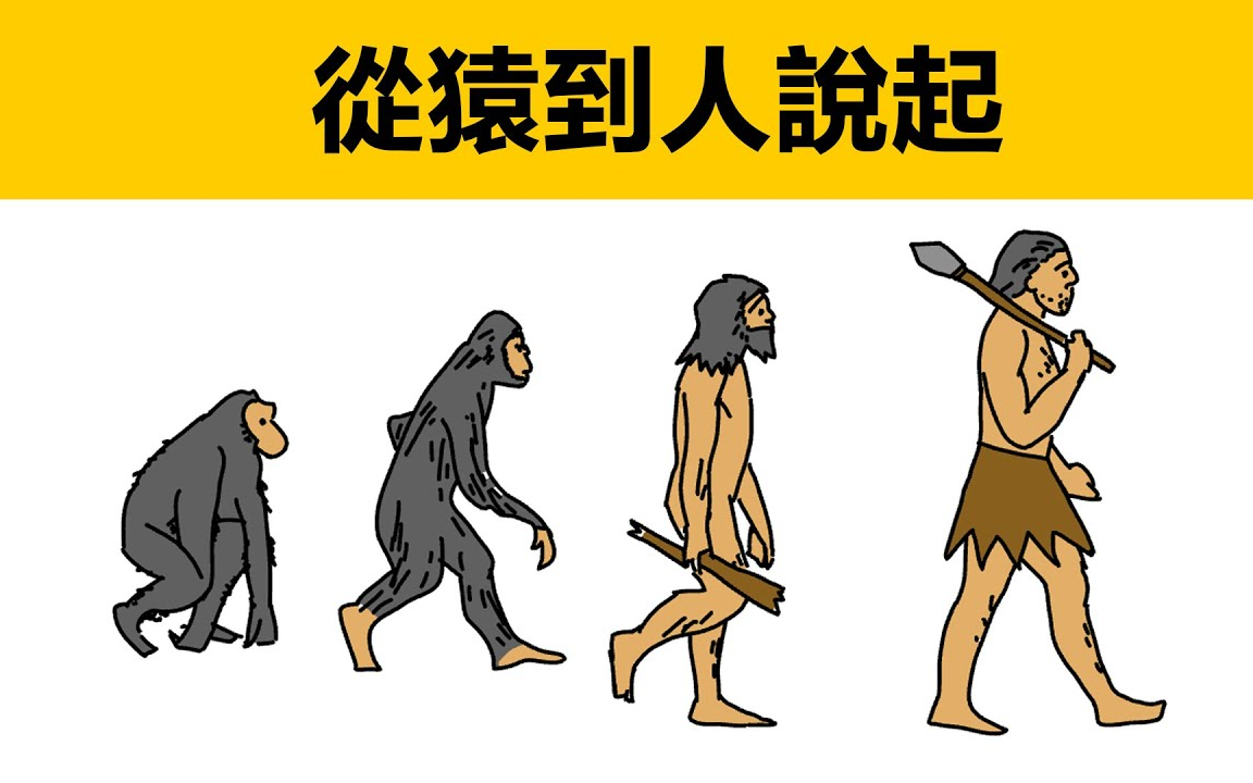 猿人进化过程图片大全图片