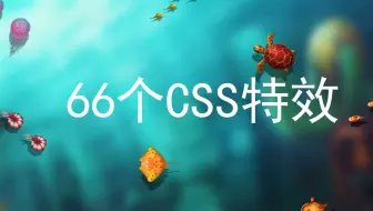 历时4个多月，学习了这 66 个CSS 特效