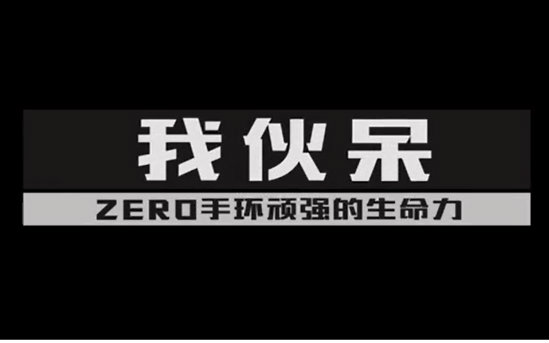 花粉疯人院ZERO暴力测试我伙呆1080p哔哩哔哩bilibili