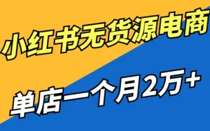 【2024版小红书体运营教程】全B站最良心的小红书开店运营教程！小红书体开店 起号真的快，赶快点赞收藏起来