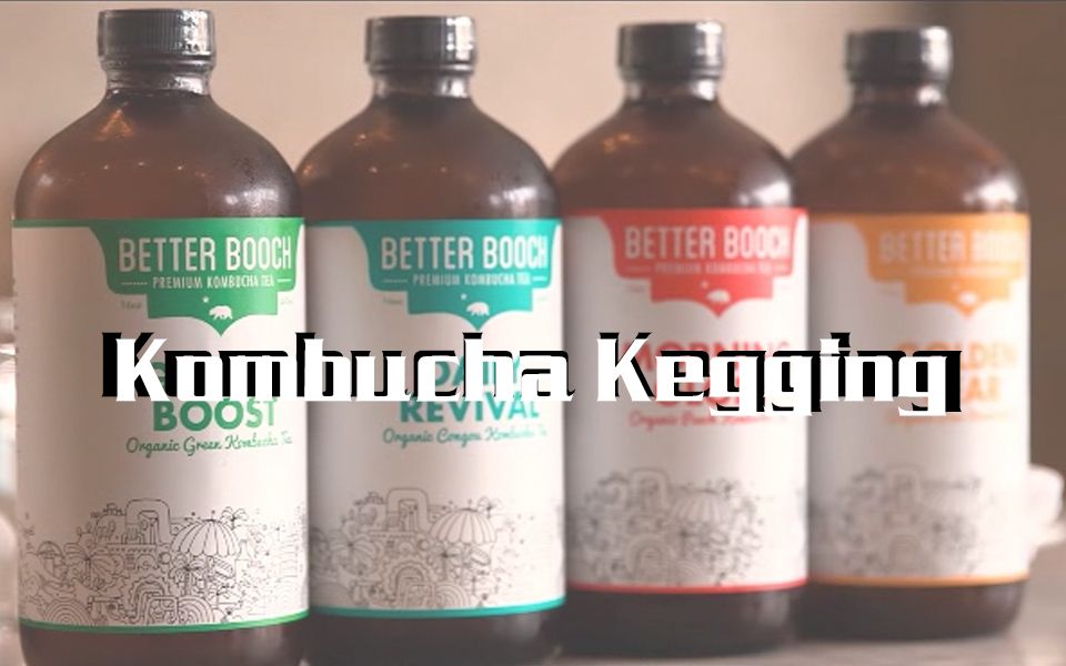 【KOMBUCHA康普茶】康普茶科普小课堂开课啦!康普茶的制作全程,一起来康吧~哔哩哔哩bilibili