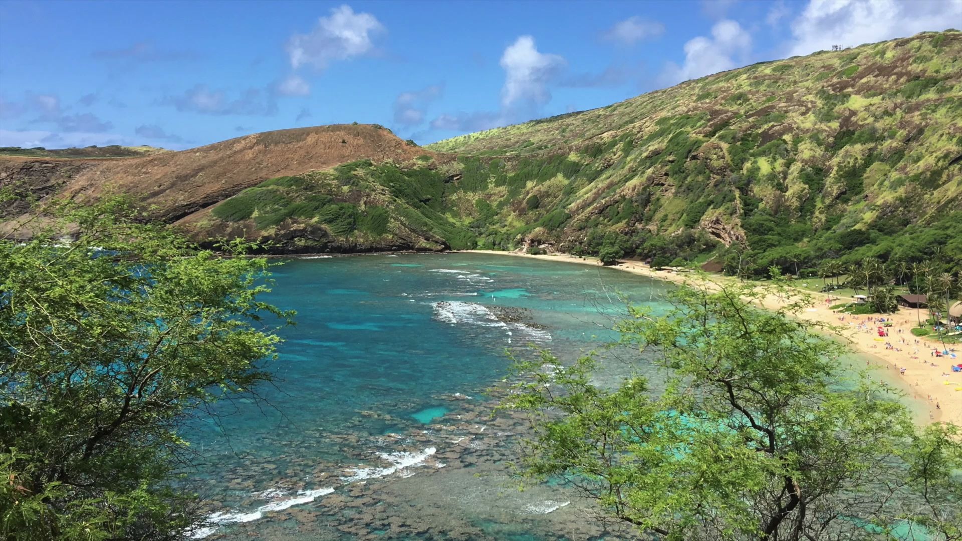 夏威夷Hanauna Bay(恐龙湾)浮潜哔哩哔哩bilibili