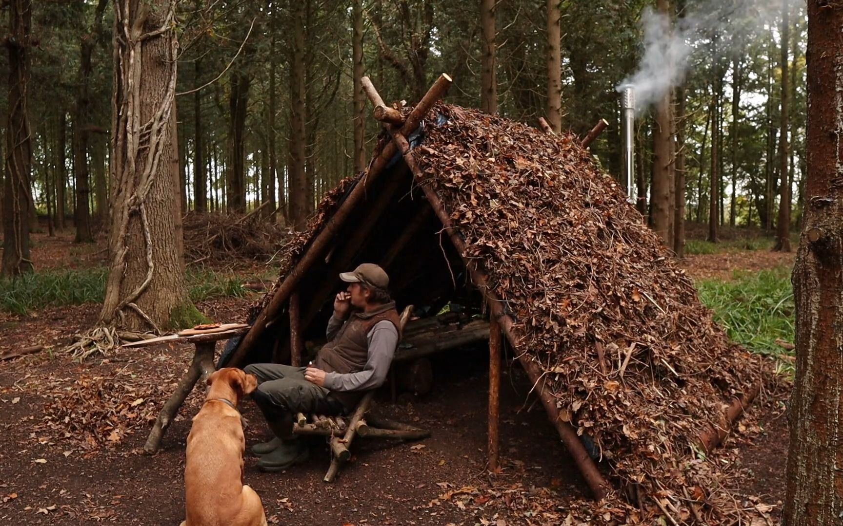 使用回收材料建造荒野丛林生存庇护所-烹饪新鲜比萨