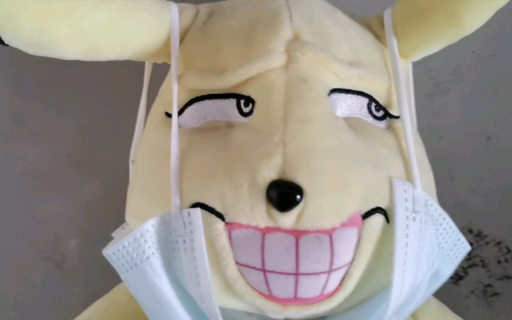 活动作品论女大学生宿舍门前的吉祥物有多可爱