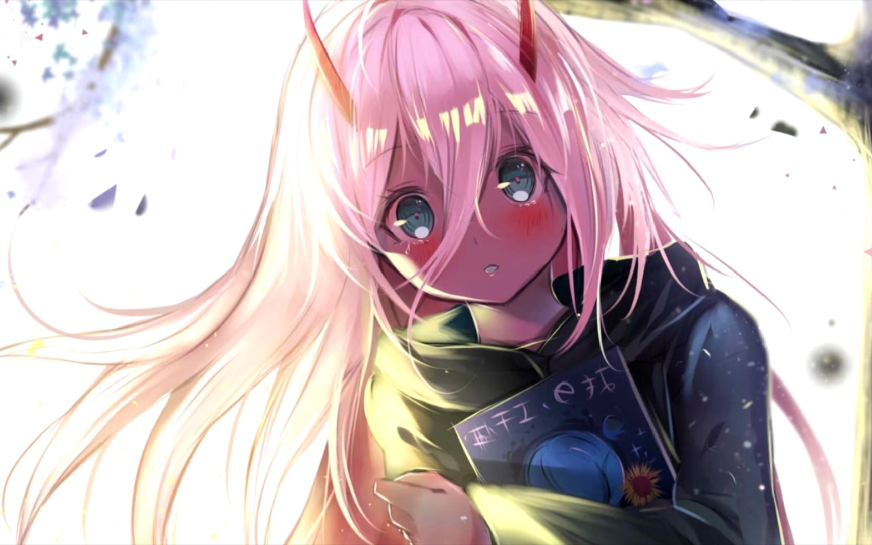 【4k/02/国家队】油管大佬作品