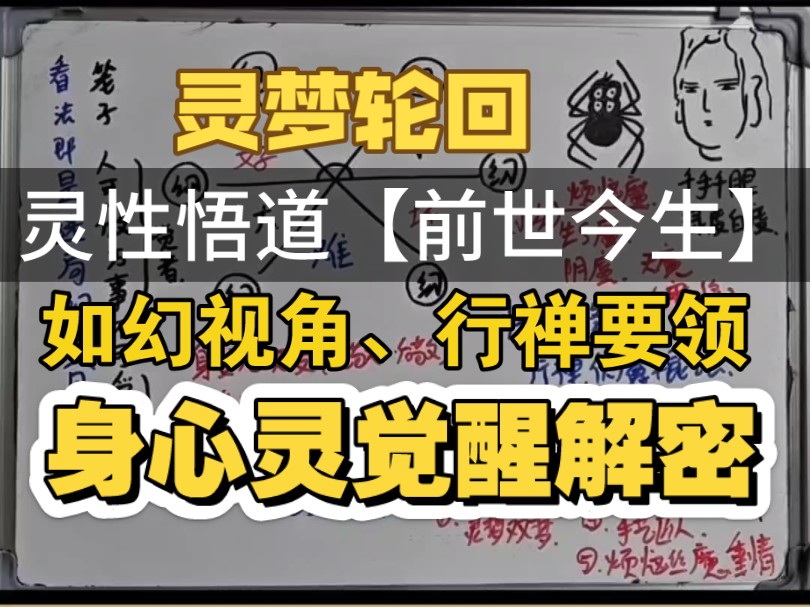 悟道≠修行,玄学解析:人的前世今生,悟道要领.觉醒解密.哔哩哔哩bilibili