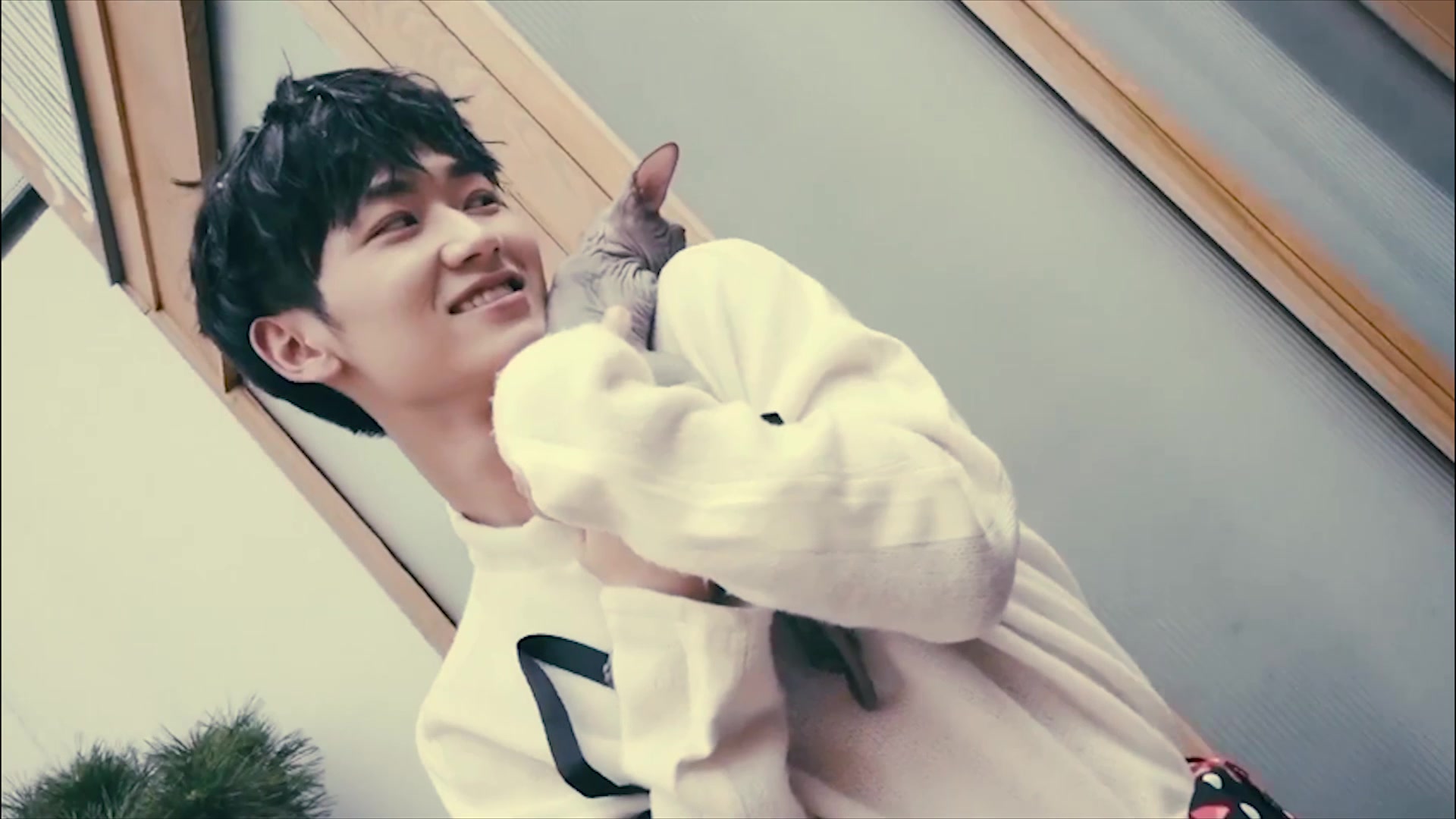 郭丞个人向蓝景仪都来品品正常向的景仪正当少年的模样