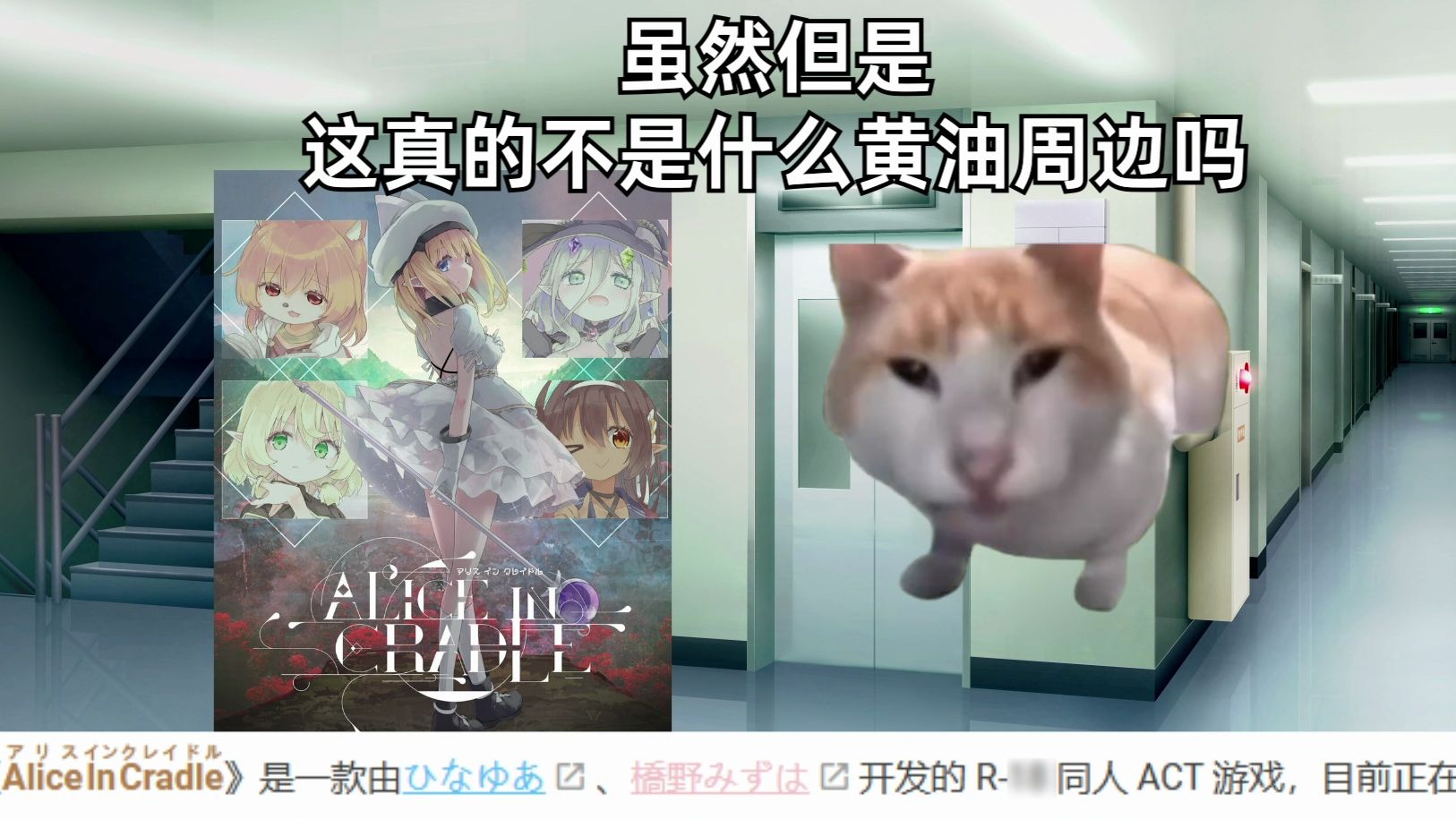 [猫meme] 作为剪辑入职二次元周边公司啦!哔哩哔哩bilibili