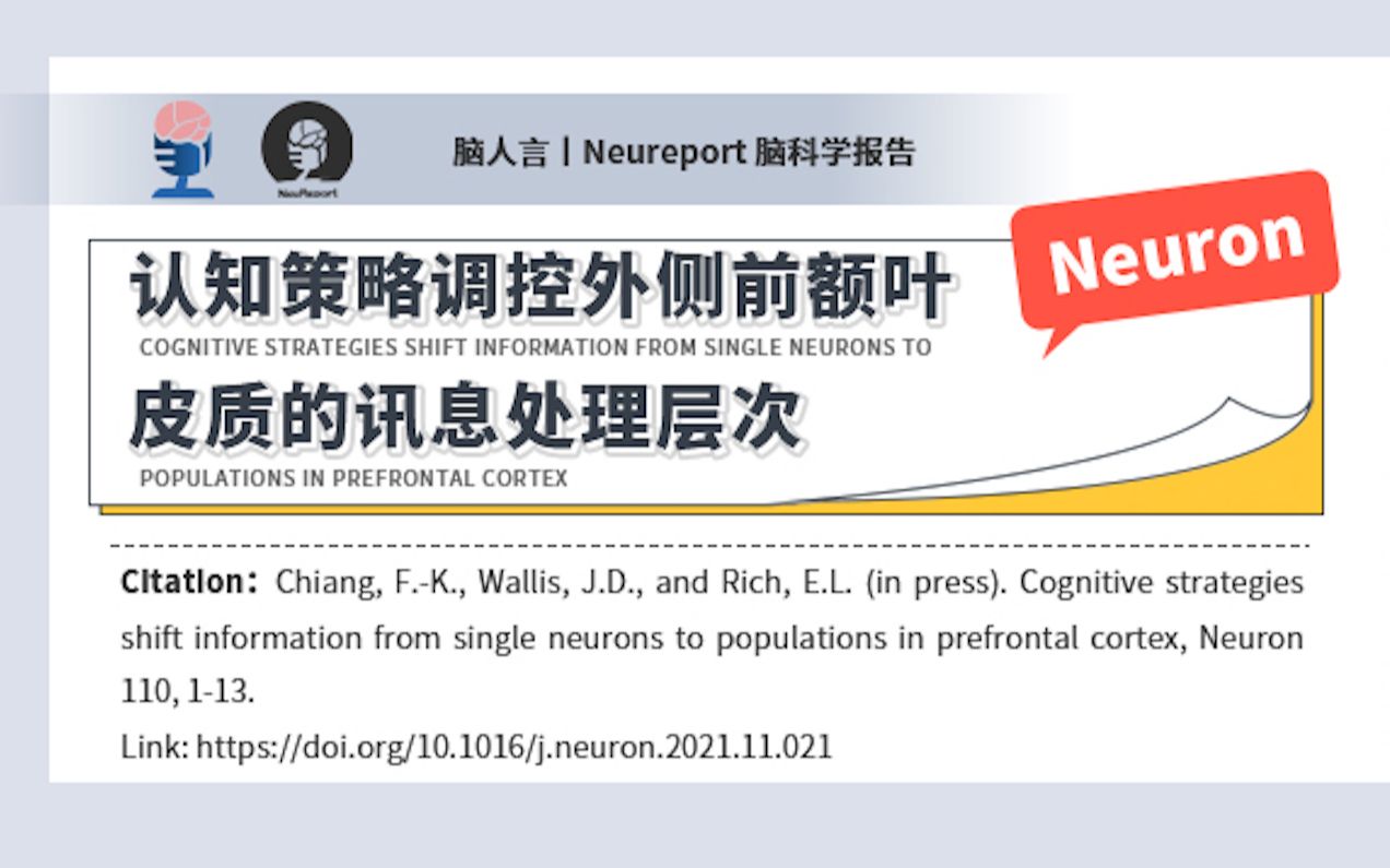 NeuReport 第25期|认知策略调控外侧前额叶皮质的讯息处理层次哔哩哔哩bilibili