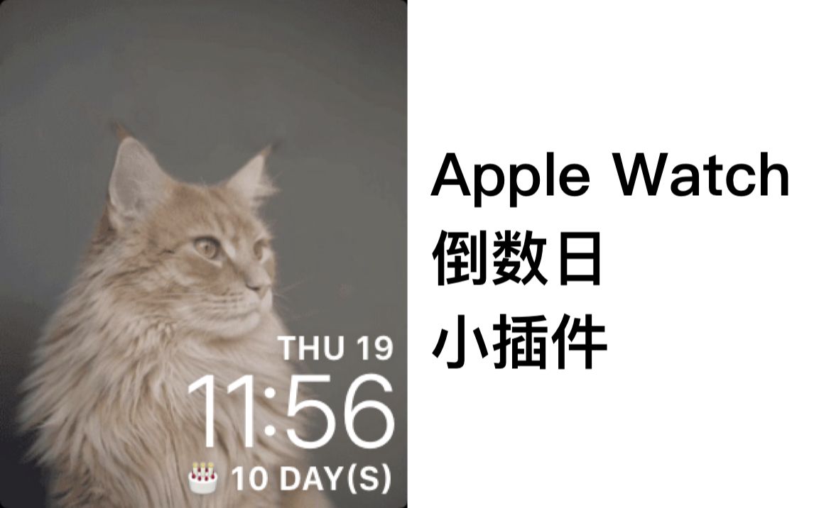 1分钟教你如何在Apple Watch 显示倒数日小插件哔哩哔哩bilibili