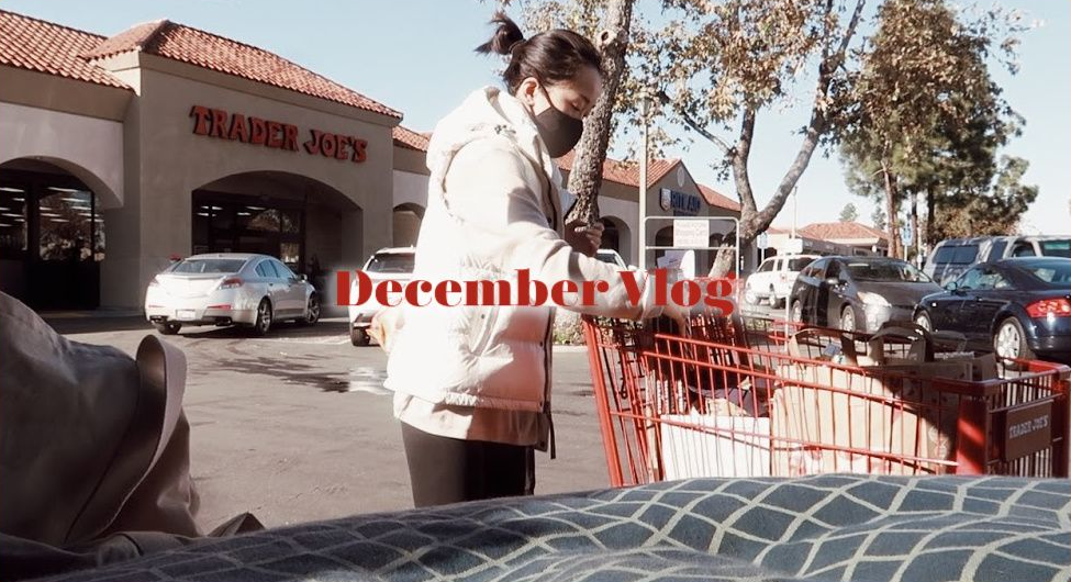 [图]DECEMBER VLOG | 装扮第二颗圣诞树｜Trader Joe's的节日新品有什么｜It's still so difficult |