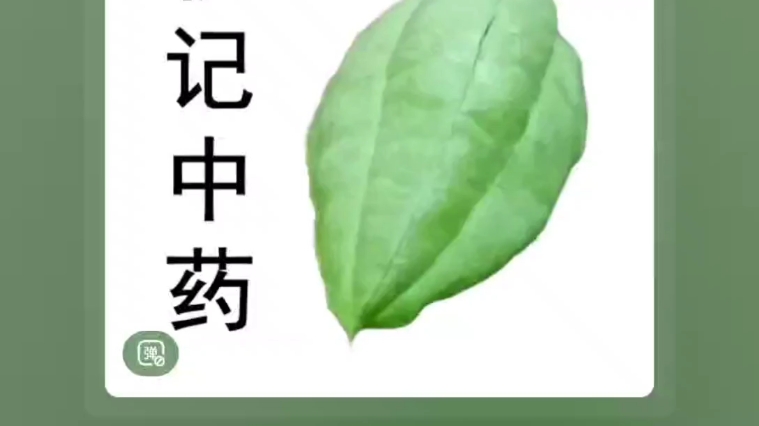 [图]《白话中药400味》第159味 荜茇