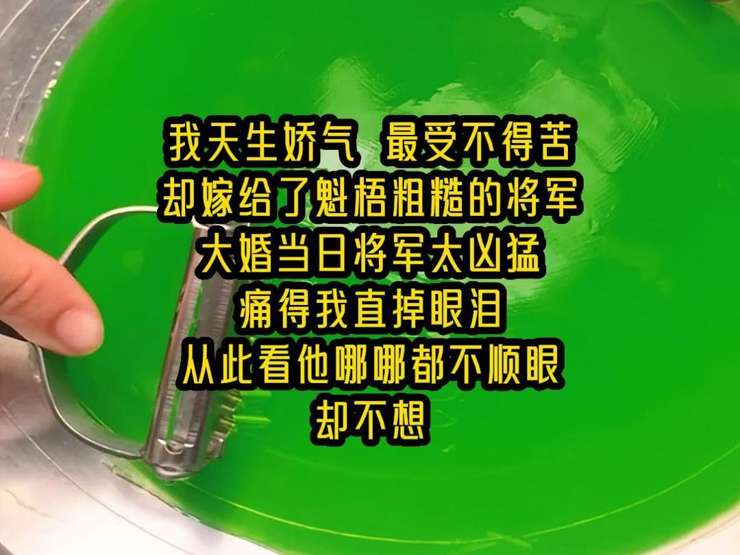 【全文已完结】我天生娇气最受不得苦,却嫁给了魁梧粗糙的将军,大婚当日将军太凶猛,痛得我直掉眼泪,从此看他哪哪都不顺眼,却不想...哔哩哔哩...