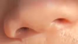 陕西人不可接纳之物 广东的汤圆