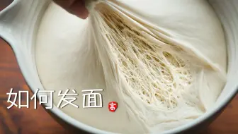 【小高姐】如何发面