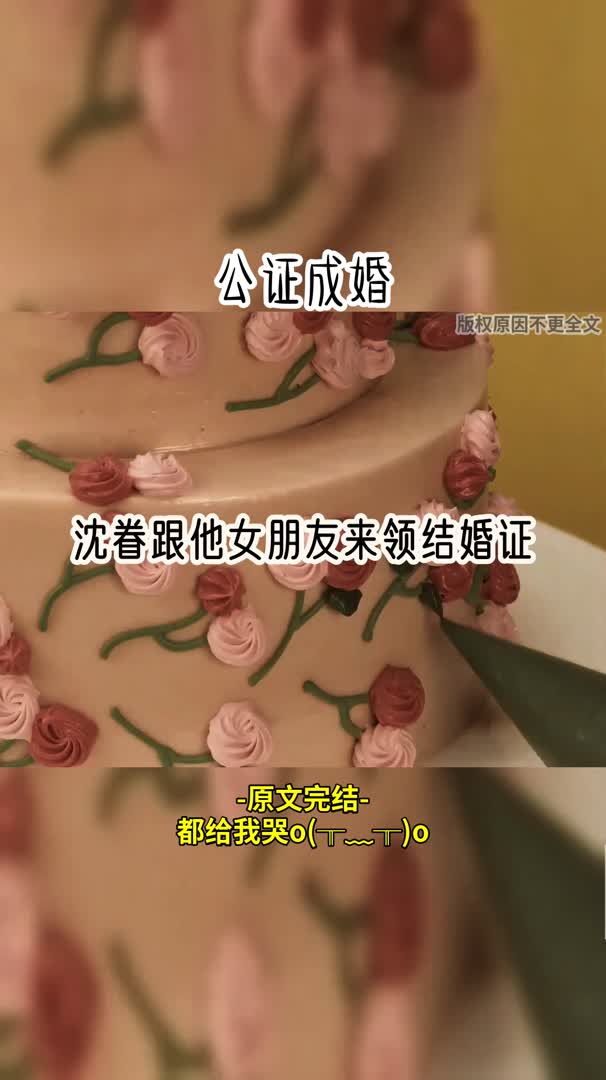 虐文 公证成婚哔哩哔哩bilibili