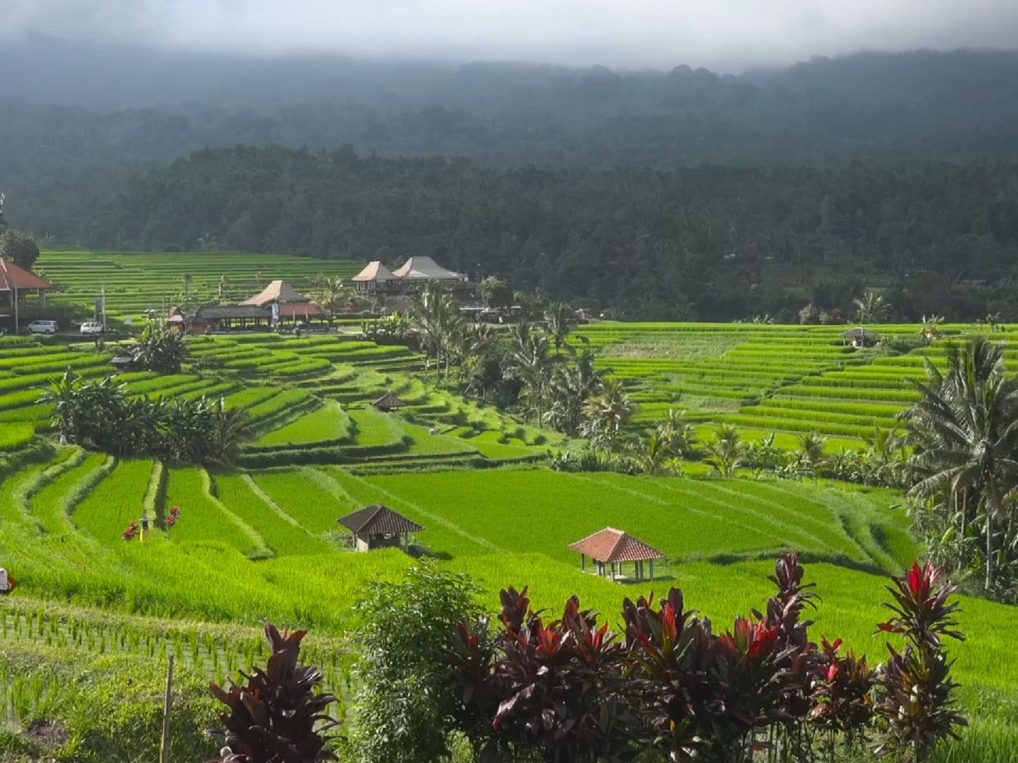 印度尼西亚巴厘岛