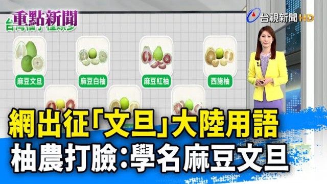 湾网轰「文旦」是大陆用语 台农打脸:两岸学名都叫文旦【20240907】哔哩哔哩bilibili