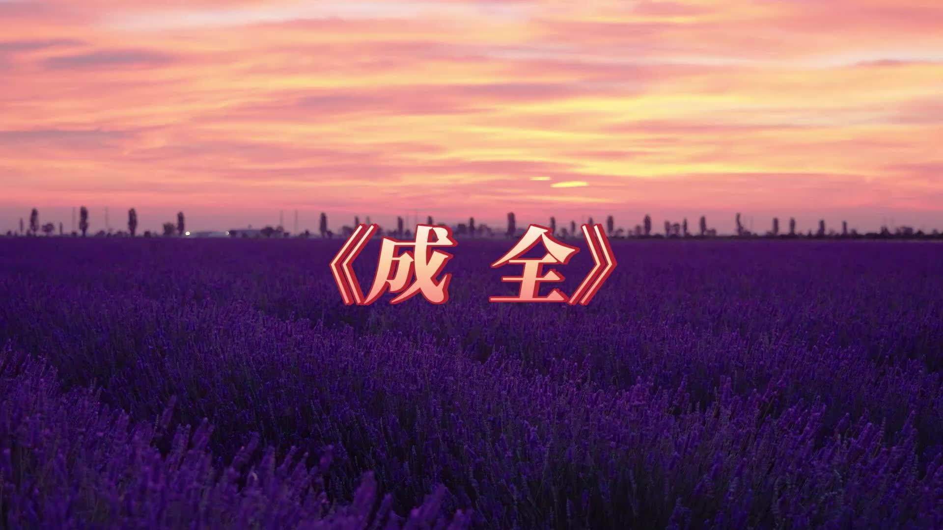 经典歌曲《成全》