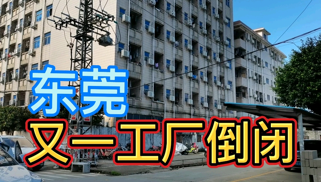 东莞这工厂倒闭,剩下孤独的花草