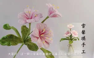 钩织露微花教程