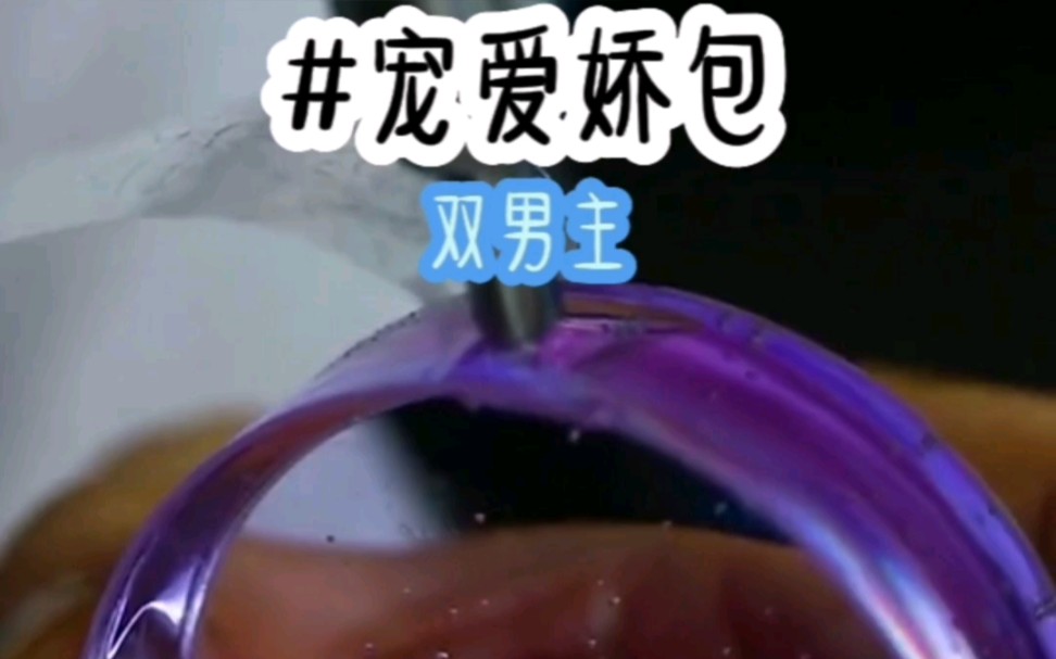 茗《宠爱娇包》小说推荐哔哩哔哩bilibili