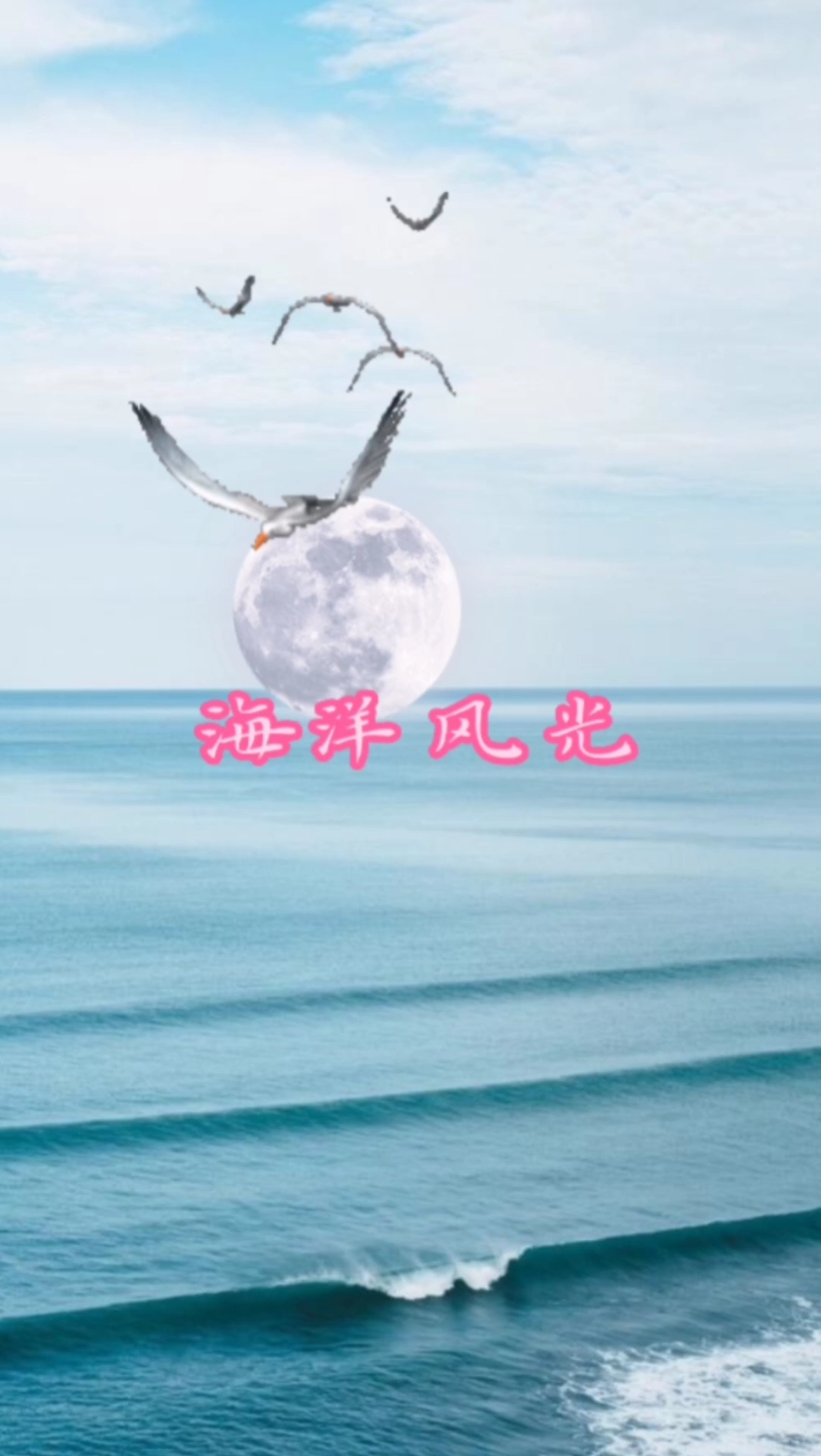 感受大海之美哔哩哔哩bilibili