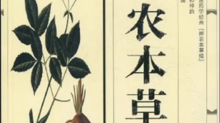 [图]《神农本草经》第二更——上品“菊花”（植物篇）