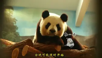 动物园中的诞生，拯救濒危物种-3